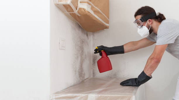 Professional Commercial Mold Remediation technician working in Port Washington, NY
